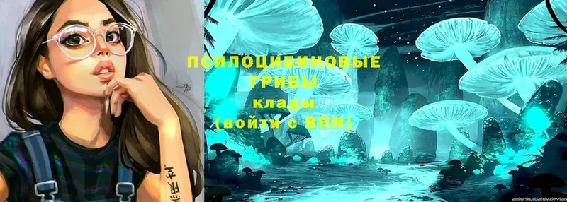 Псилоцибиновые грибы MAGIC MUSHROOMS  ссылка на мегу как войти  Партизанск  сколько стоит 